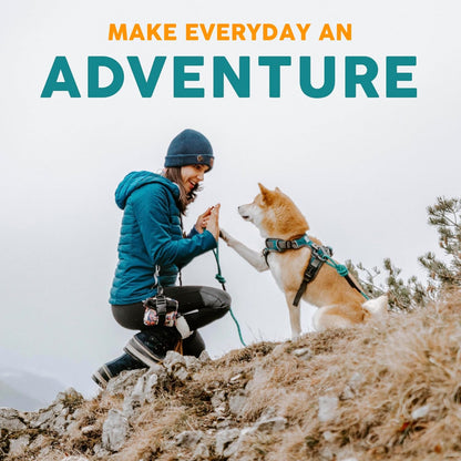 Embark Adventure Large Dog Collar – Stylish, Durable Nylon, Adjustable & Comfortable, Strong Buckle, Suitable for Large Breeds